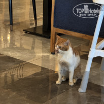 фото из отзыва ID 2740045