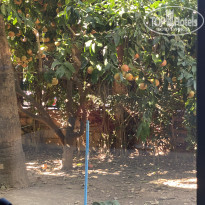 фото из отзыва ID 2740059