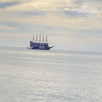 фото из отзыва ID 2740059