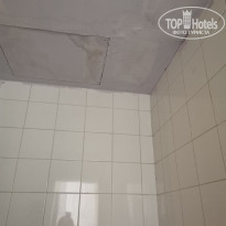 фото из отзыва ID 2740062