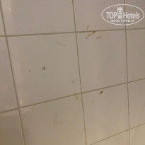 фото из отзыва ID 2740062