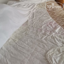 фото из отзыва ID 2740062