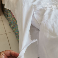 фото из отзыва ID 2740062