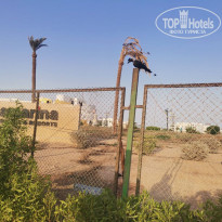 фото из отзыва ID 2740062