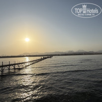 фото из отзыва ID 2740069