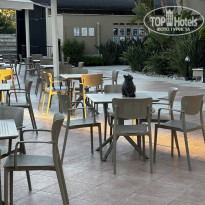 фото из отзыва ID 2740071