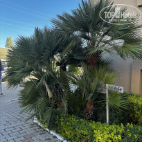 фото из отзыва ID 2740071