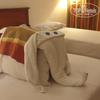 фото из отзыва ID 2740072