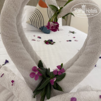 фото из отзыва ID 2740080