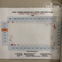 фото из отзыва ID 2740039