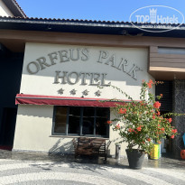 фото из отзыва ID 2740091