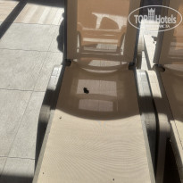 фото из отзыва ID 2740091