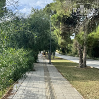 фото из отзыва ID 2740099