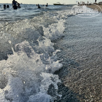 фото из отзыва ID 2740099