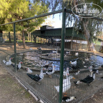 фото из отзыва ID 2740108