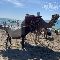 фото из отзыва ID 2740108