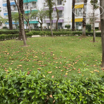 фото из отзыва ID 2740108