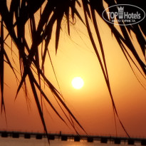 фото из отзыва ID 2740109