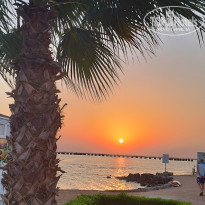 фото из отзыва ID 2740109