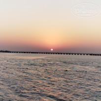 фото из отзыва ID 2740109