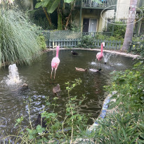 фото из отзыва ID 2740112