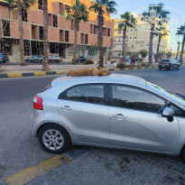 фото из отзыва ID 2740116