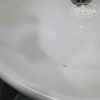 фото из отзыва ID 2740120