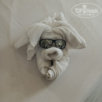 фото из отзыва ID 2740132