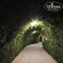 фото из отзыва ID 2740132