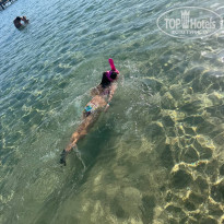 фото из отзыва ID 2740133