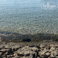 фото из отзыва ID 2740133