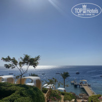 фото из отзыва ID 2740164