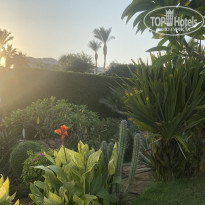 фото из отзыва ID 2740164