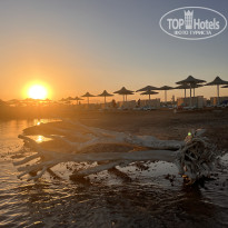 фото из отзыва ID 2740166