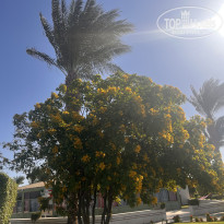 фото из отзыва ID 2740166