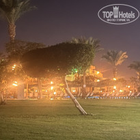 фото из отзыва ID 2740166