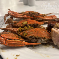 фото из отзыва ID 2740166