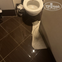 фото из отзыва ID 2740168