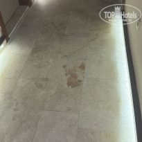 фото из отзыва ID 2740168