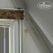 фото из отзыва ID 2740168