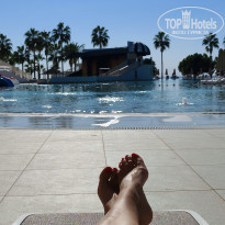 фото из отзыва ID 2740183