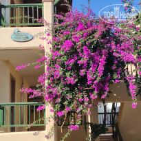 фото из отзыва ID 2740183