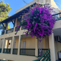 фото из отзыва ID 2740183