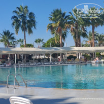 фото из отзыва ID 2740183