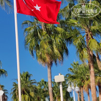 фото из отзыва ID 2740183