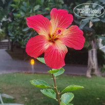 фото из отзыва ID 2740184