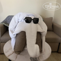 фото из отзыва ID 2740211