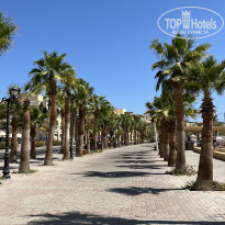 фото из отзыва ID 2740211