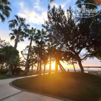 фото из отзыва ID 2740212