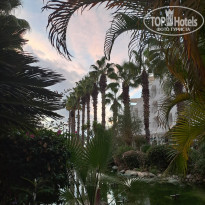 фото из отзыва ID 2740212